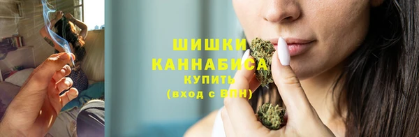 мдпв Горняк