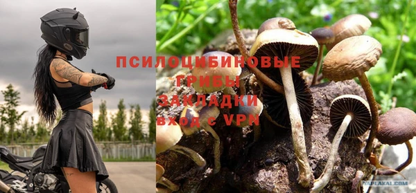спиды Горнозаводск