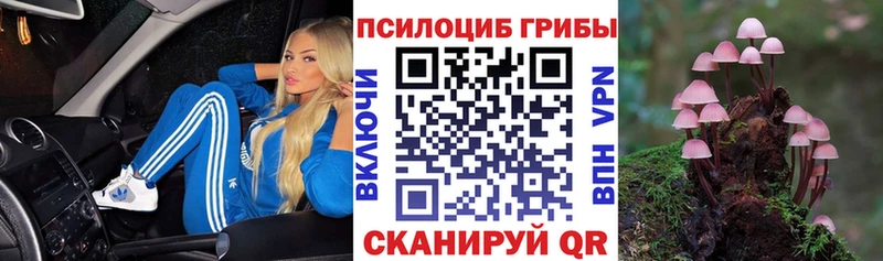 Псилоцибиновые грибы Psilocybe  Купить где  Карабаново 